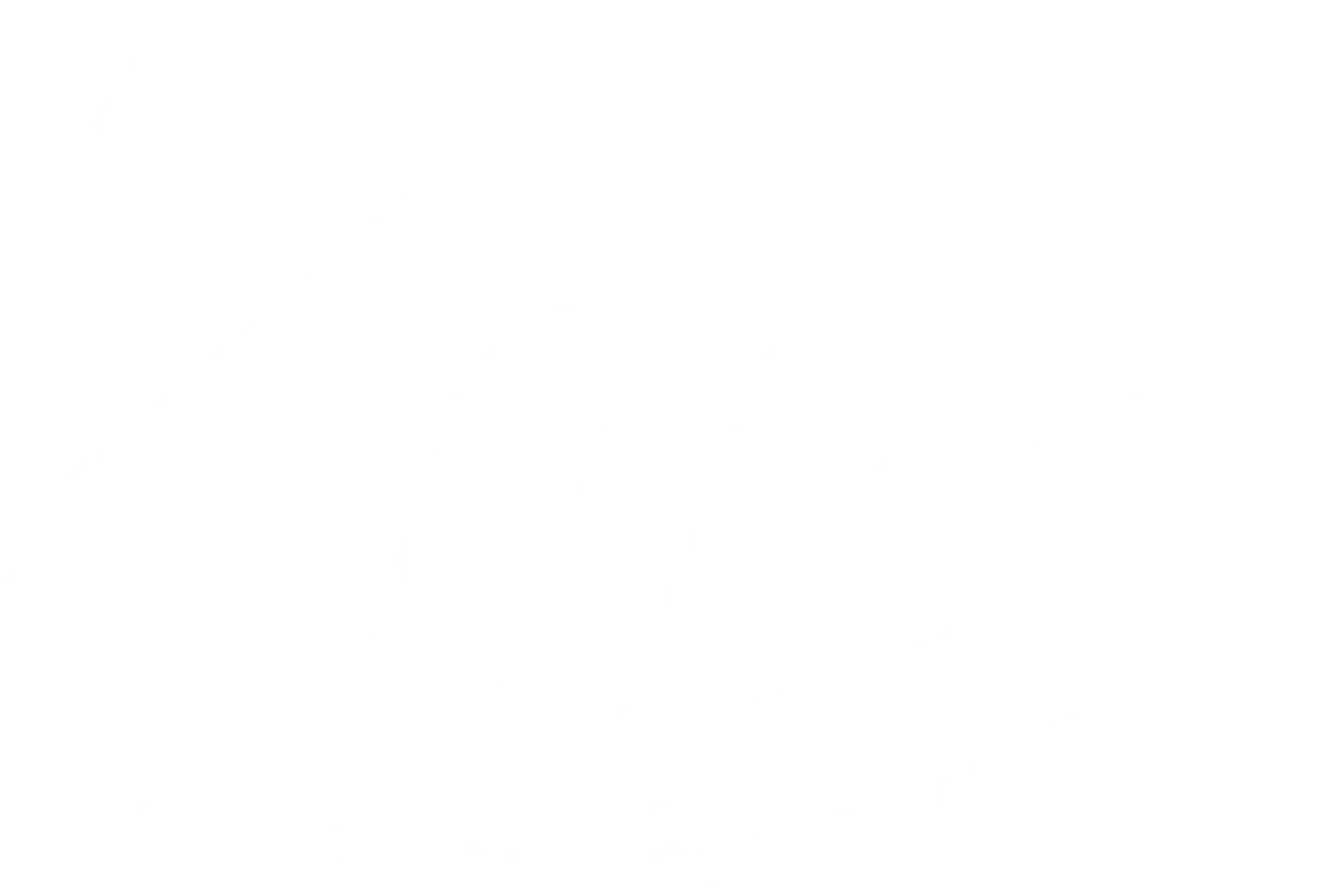 Zap Foods logo